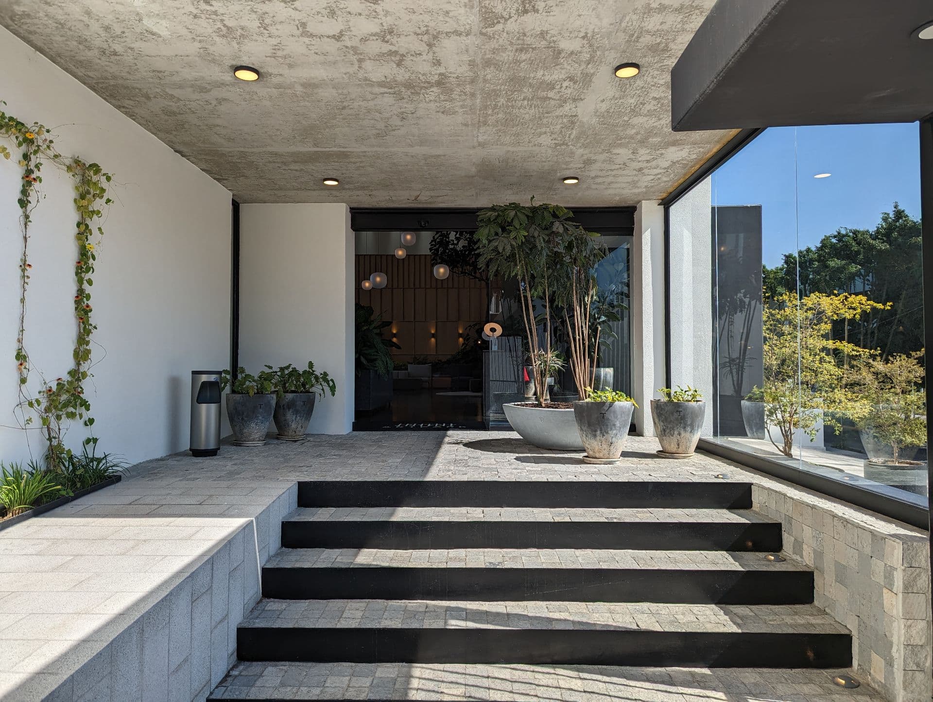 Art Park - Imagen 1 en El Vigía, Zapopan