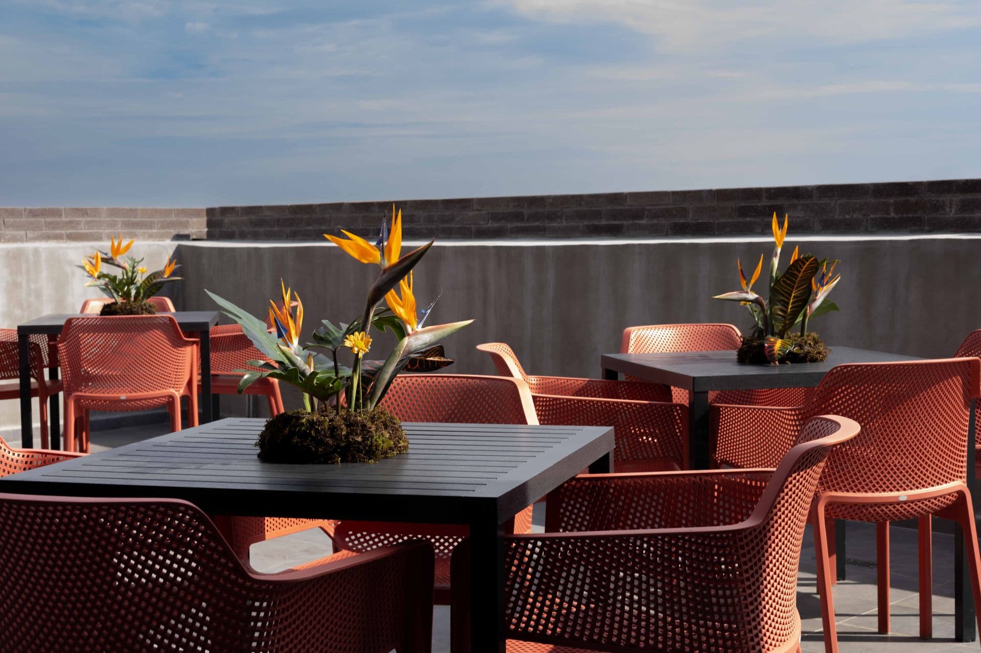 YU Country - Imagen 3 en Lomas del Country, Guadalajara